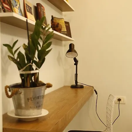 게스트하우스 Illyrian 1 티라나